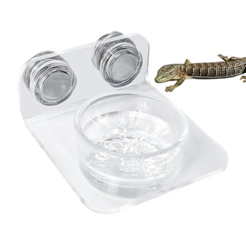 Dtaigou Reptile Food Feeder Bowl, Reptile Water Bowl,Abnehmbar magnetisch Gecko Food Dish - Einfache Installation Reptile -Fütterungsstation für Eidechsen, Chamäleons, Baumfrösche von Dtaigou