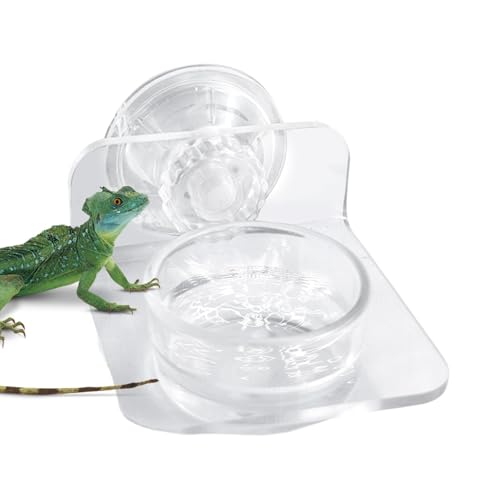 Dtaigou Reptilienwasserschale, Gecko Feeder Ledge,Abnehmbar magnetisch Gecko Food Dish - Einfache Installation Reptile -Fütterungsstation für Eidechsen, Chamäleons, Baumfrösche von Dtaigou