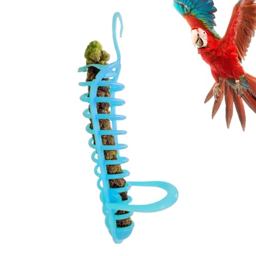 Dtaigou Vogelkäfig -Feeder -Futterspielzeug, Vogelkäfig Hohlkorb Futterhalter | Hirsehalter Spielzeug für Bird | Haken -Design -Haustiervorräte für Wellensittiche, Lovebirds, mittlere, Sittiche, von Dtaigou