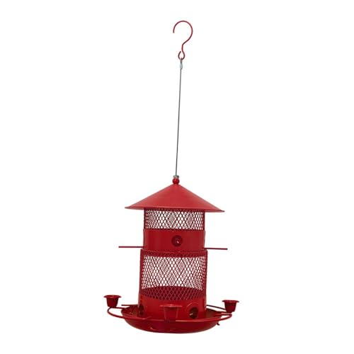 Dualoai Eisen Vogel Feeder Hängen Birdfeeder Vogel Lebensmittel Container Kleine Vögel Feeder Premium, Rot von Dualoai