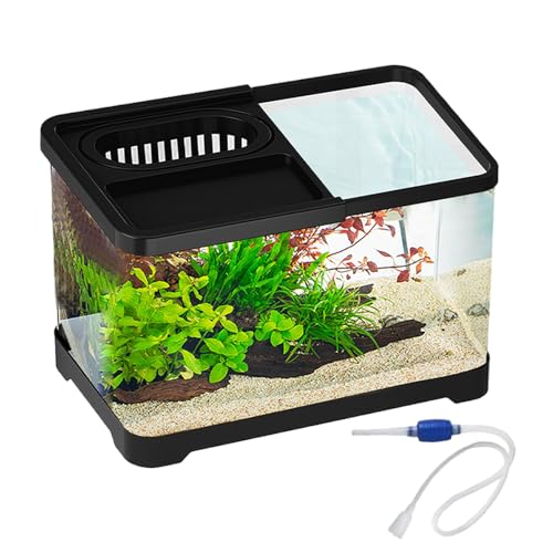 Dubbulon Aquarium - Kleine Aquarium Komplettsets | Klare Landschaftsbecken Für Guppys Schnecken Schildkröten Haustierliebhaber Anfänger Schreibtisch Wohnung Dubbulon Aquarium - Kleine Aquarium Komplettsets | Klare Landschaftsbecken Für Guppys Schnecken Schildkröten Haustierliebhaber Anfänger Schreibtisch Wohnung von Dubbulon