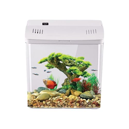 Dubbulon Desktop Aquarium | Kleines Becken Mit Filter | Wohndekoration | Für Riffaquarien Quallen Frösche Desktop Büro Schreibtisch Wohnzimmer Und Haustierheim Dubbulon Desktop Aquarium | Kleines Becken Mit Filter | Wohndekoration | Für Riffaquarien Quallen Frösche Desktop Büro Schreibtisch Wohnzimmer Und Haustierheim von Dubbulon