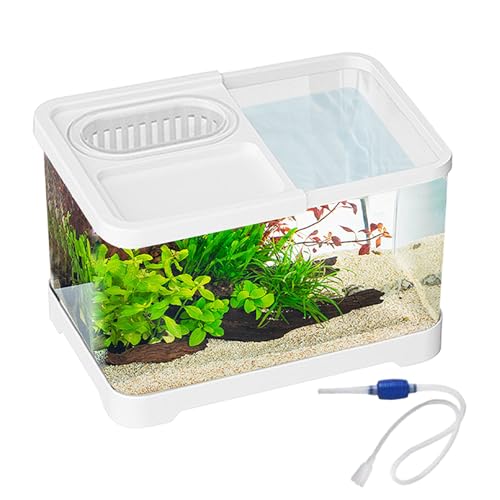 Dubbulon Kampffisch Aquarium | Kleine Aquarium Komplettsets - Klare Landschaftsbecken Für Guppys Schnecken Schildkröten Haustierliebhaber Anfänger Schreibtisch Wohnung Dubbulon Kampffisch Aquarium | Kleine Aquarium Komplettsets - Klare Landschaftsbecken Für Guppys Schnecken Schildkröten Haustierliebhaber Anfänger Schreibtisch Wohnung von Dubbulon