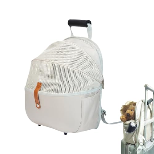 Dubbulon Katzentransportbox,Welpentrage Für Kleine Hunde | Faltbare Atmungsaktive Transporttasche Für Tierarztbesuche, Kurztrips, Reisen Unterwegs, Spaziergänge, Camping Und Wandern Dubbulon Katzentransportbox,Welpentrage Für Kleine Hunde | Faltbare Atmungsaktive Transporttasche Für Tierarztbesuche, Kurztrips, Reisen Unterwegs, Spaziergänge, Camping Und Wandern von Dubbulon