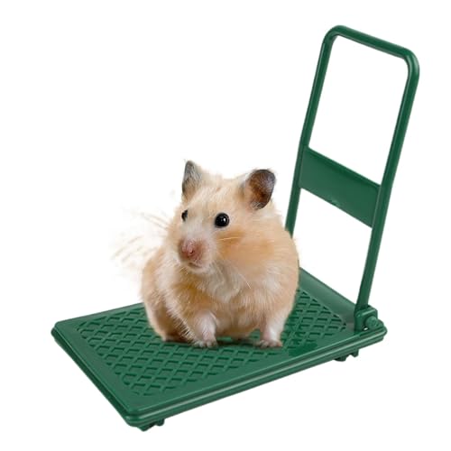 Hamster-Haustierspielzeug, Hamsterwagen-Spielzeug - Hamsterbett Kleintierspielzeug | Foto-Requisiten, Hamster-Anreicherungsspielzeug, Wagen, Chinchilla-Bett, Haustierspielzeug, von Dubbulon