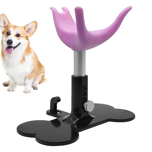 Haustier Pflegestuhl | Hundebadestütze Für Welpen | Höhenverstellbare Assistenzleiter Zum Baden Trimmen Duschen Und Pflegen Von Hunden Haustier Pflegestuhl | Hundebadestütze Für Welpen | Höhenverstellbare Assistenzleiter Zum Baden Trimmen Duschen Und Pflegen Von Hunden von Dubbulon