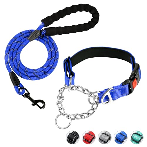 Duckygoo Hundehalsband und Leine, Martingale Hundehalsband mit Schnellverschluss-Schnalle, reflektierende Hundeleine und verstellbares, nicht ziehendes Hundehalsband mit weichem, atmungsaktivem von Duckygoo