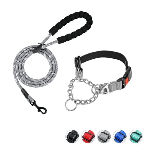 Duckygoo Hundehalsband und Leine, Martingale Hundehalsband mit Schnellverschluss-Schnalle, reflektierende Hundeleine und verstellbares, nicht ziehendes Hundehalsband mit weichem, atmungsaktivem von Duckygoo