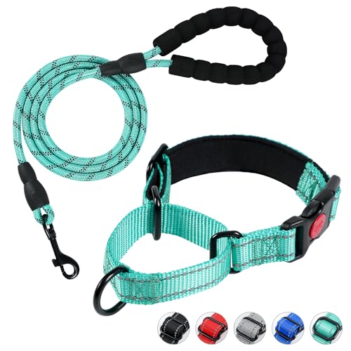 Duckygoo Hundehalsband und Leine, Martingale Hundehalsband mit Schnellverschluss-Schnalle, reflektierende Hundeleine und verstellbares, nicht ziehendes Hundehalsband mit weichem, atmungsaktivem von Duckygoo