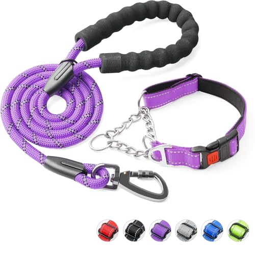 Duckygoo Hundehalsband und Leine, Martingale-Hundehalsband mit Schnellverschluss-Schnalle, reflektierende Hundeleine und verstellbares Hundehalsband mit weichem, atmungsaktivem Neopren, gepolstert für von Duckygoo