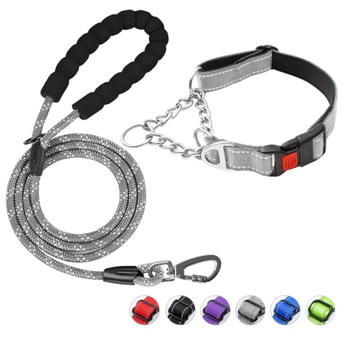 Duckygoo Hundehalsband und Leine, Martingale-Hundehalsband mit Schnellverschluss-Schnalle, reflektierende Hundeleine und verstellbares Hundehalsband mit weichem, atmungsaktivem Neopren, gepolstert für von Duckygoo