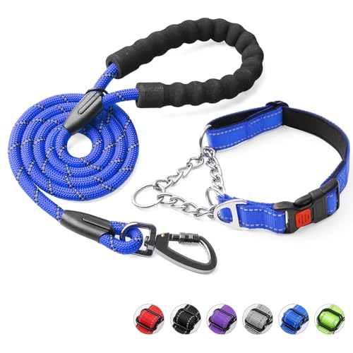 Duckygoo Hundehalsband und Leine, Martingale-Hundehalsband mit Schnellverschluss-Schnalle, reflektierende Hundeleine und verstellbares Hundehalsband mit weichem, atmungsaktivem Neopren, gepolstert für von Duckygoo