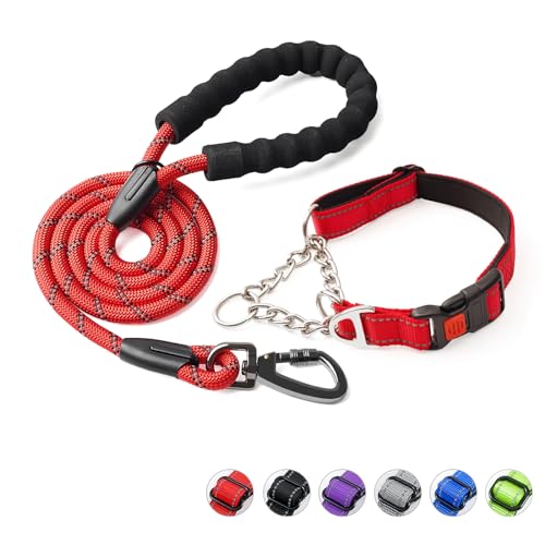 Duckygoo Martingale-Hundehalsband mit Schnellverschluss-Schnalle, reflektierende Hundeleine und verstellbares Hundehalsband mit weichem, atmungsaktivem Neopren, gepolstert für kleine, mittelgroße und von Duckygoo