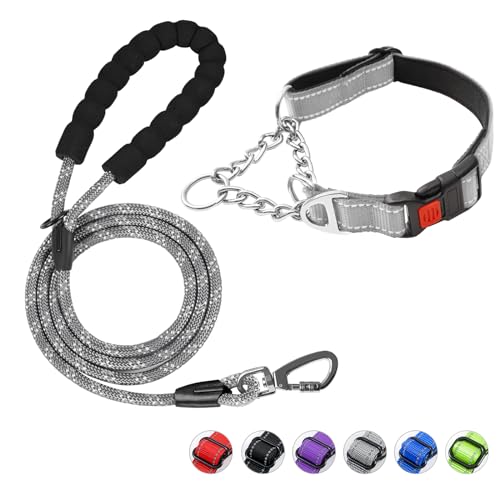 Duckygoo Hundehalsband und Leine, Martingale-Hundehalsband mit Schnellverschluss-Schnalle, reflektierende Hundeleine und verstellbares Hundehalsband mit weichem, atmungsaktivem Neopren, gepolstert für von Duckygoo