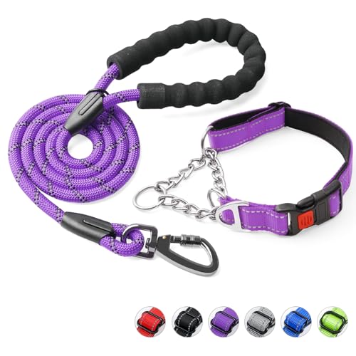 Duckygoo Martingale-Hundehalsband mit Schnellverschluss-Schnalle, reflektierende Hundeleine und verstellbares Hundehalsband mit weichem, atmungsaktivem Neopren, gepolstert für kleine, mittelgroße und von Duckygoo