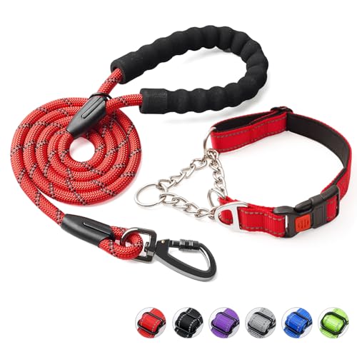 Duckygoo Martingale-Hundehalsband mit Schnellverschluss-Schnalle, reflektierende Hundeleine und verstellbares Hundehalsband mit weichem, atmungsaktivem Neopren, gepolstert für kleine, mittelgroße und von Duckygoo