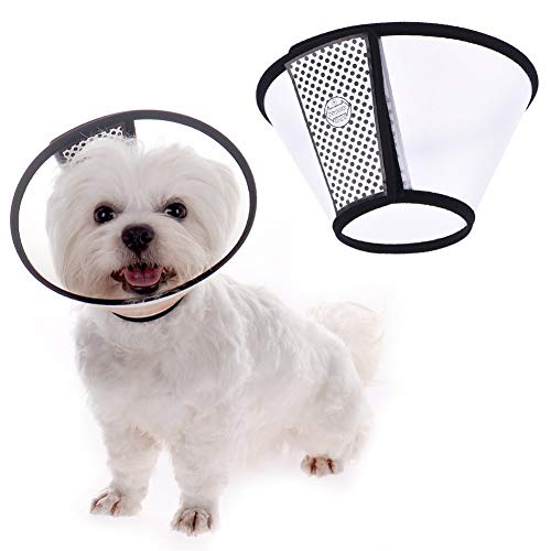 Ducomi Elizabethan – Verstellbares Schutzhalsband für Hund und Katze - Elizabethan Cone Anti-Scratch Anti-Bite Beschleunigt die Wundheilung bei Hunden und Katzen (L: 28-31 cm) von Ducomi