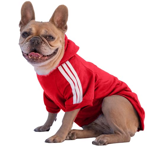 Ducomi Hundepullover mit Kapuze für alle Größen und Rassen - Warmes und Weiches Hundekleidungsstück - Einfarbiger Pullover für Haustiere und Welpen (Rot, XS) von Ducomi