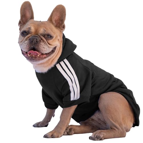 Ducomi Hundepullover mit Kapuze für alle Größen und Rassen - Warmes und Weiches Hundekleidungsstück - Einfarbiger Pullover für Haustiere und Welpen (Schwarz, XS) von Ducomi