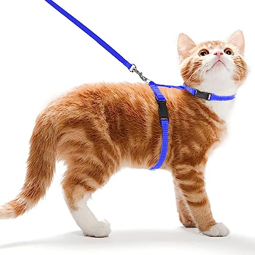 Ducomi Meow Katzen-Anti-Ausbruchsgeschirr mit Leine – Kragen für kleine Katzen und Kätzchen, verstellbares Geschirr und 105 cm Leine für sicheres Gassigehen mit Katzen (Blue) von Ducomi