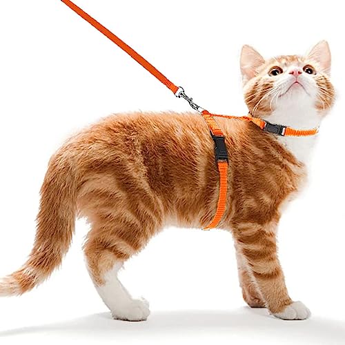 Ducomi Meow Katzen-Anti-Ausbruchsgeschirr mit Leine – Kragen für kleine Katzen und Kätzchen, verstellbares Geschirr und 105 cm Leine für sicheres Gassigehen mit Katzen (Orange) von Ducomi