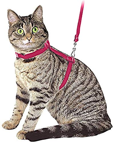 Ducomi Silvestro Katzengeschirr mit Leine Ausbruchsicher – 105 cm - Katzenleine mit Geschirr für Katzen, Kaninchen und Welpen - Verlängerbarer (Pink) von Ducomi