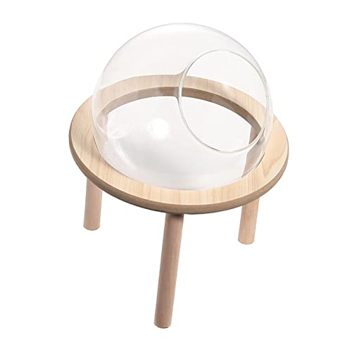 Duiaynke Hamster-Sand-Badebehälter, Badezimmer, Holztoilette, Haustierspielzeug, transparent, Kleintierbad für Chinchilla-Rennmäuse (10 cm) von Duiaynke