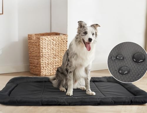 Duidy wasserdichte Silikon Napfunterlage für Hunde, Super Saugfähige Schnelltrocknend Futtermatten für Haustier Fressnapf Matte-Futterunterlage für Katzen und Hunde (90X60CM,Black) von Duidy