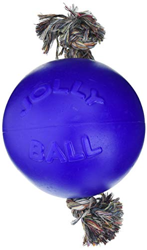 Duke and Co Romp N Roll Hundespielzeug, 20,3 cm, Blau, 500 g von Duke and Co