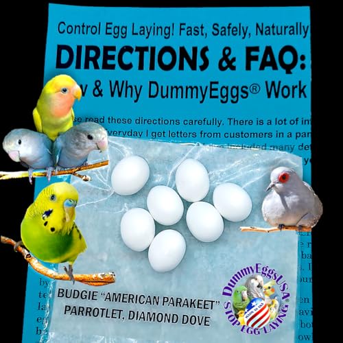 DummyEggs USA 7 Wellensittich-Schnuller-Eier Hören Sie auf zu liegen! Perfekter realistischer Wellensittich-Sittich, Papagei, Diamanttaube, ungiftiger Premium-Kunststoff, solide künstliche Vogel-Eier. 3/4 x 5/8 in den USA gelegt von DummyEggs