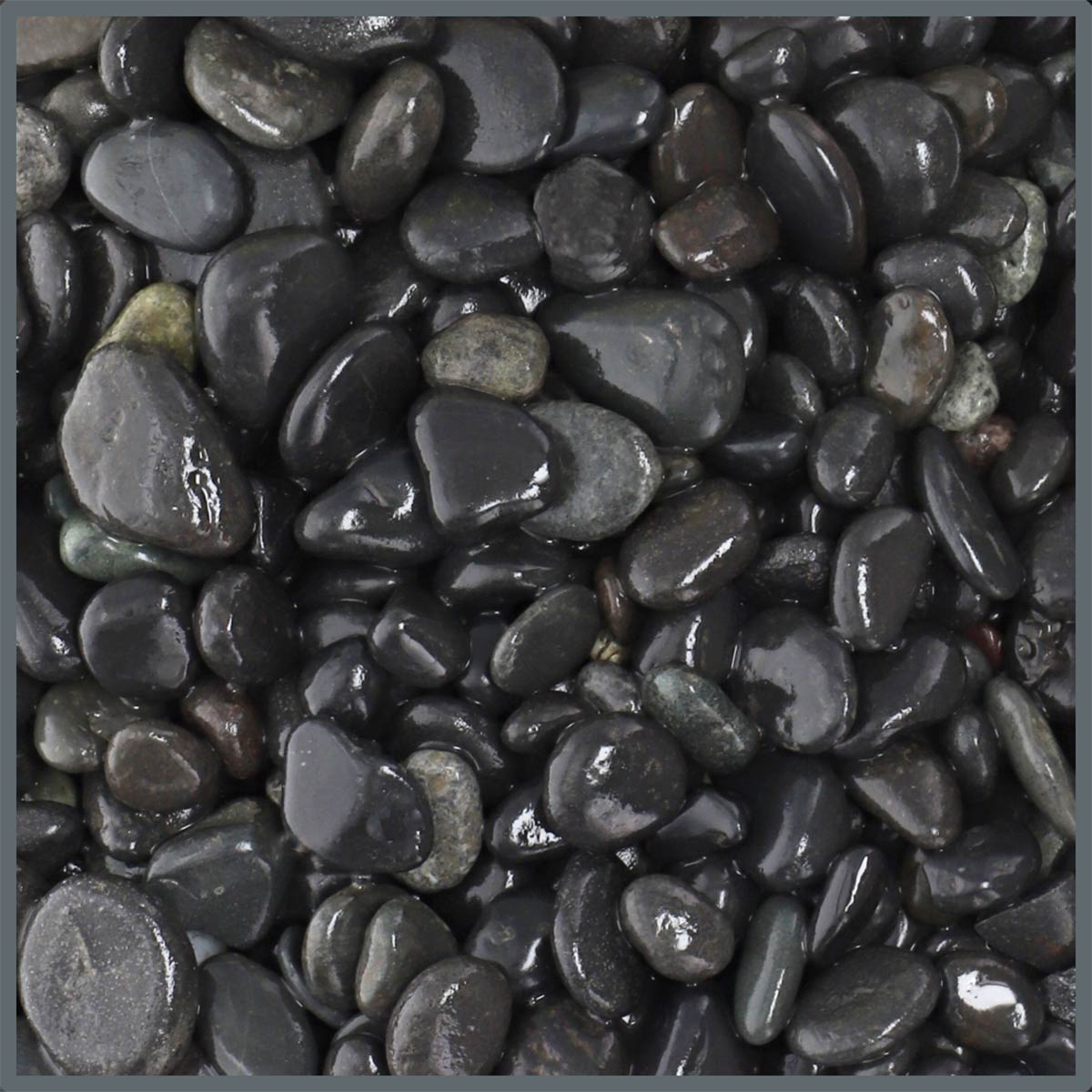 Dupla Ground nature Black Pebbles 8-16mm, 5kg von Dupla