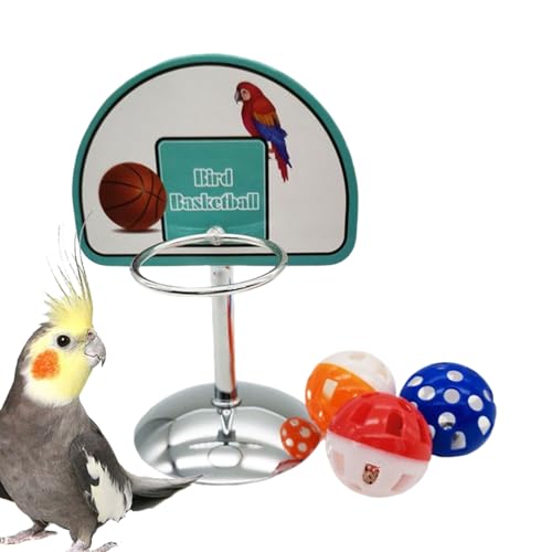 Duroecsain Basketballspielzeug für Vögel, Basketballspielzeug für Wellensittiche mit Ring, interaktive Aktivität mit 3 Kugeln mit Glöckchen für Vogelkäfige und Außenbereiche Duroecsain Basketballspielzeug für Vögel, Basketballspielzeug für Wellensittiche mit Ring, interaktive Aktivität mit 3 Kugeln mit Glöckchen für Vogelkäfige und Außenbereiche von Duroecsain