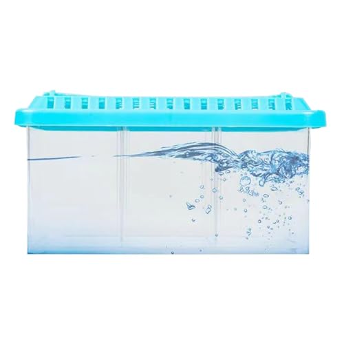 Duroecsain Betta Aquarium, Aquariumtank Betta | Aquarium für Bürofische, transparent mit abnehmbaren Trennwänden | kleine Fischschale, Layout mit mehreren Fächern, Starter-Set von Duroecsain