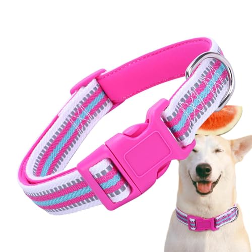 Duroecsain Halsband für Haustiere, reflektierendes Hundehalsband – weiche und sichere Hundehalsbänder | buntes reflektierendes Halsband für Hunde, bequem für kleine Haustiere von Duroecsain