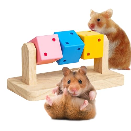 Duroecsain Hamster-Holzblöcke, Hamster-Kauwürfel | Kauspielzeug für Hamster aus - Handwerkskunst, bissfeste -Hamster-Kaublöcke, Zubehör für Käfig, kleine Haustiere von Duroecsain