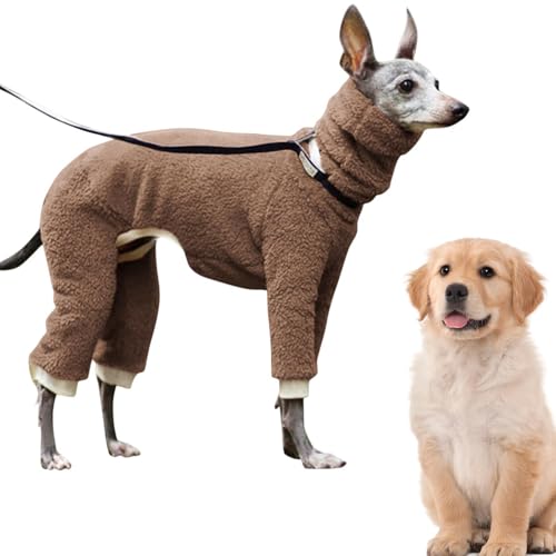 Duroecsain Hunde-Rollkragenpullover | Winterweste für Haustiere | Elastischer Rollkragen mit 4 Pfoten, vollständig abgedeckt, einfarbig, für kleine, mittelgroße und große Hunde von Duroecsain