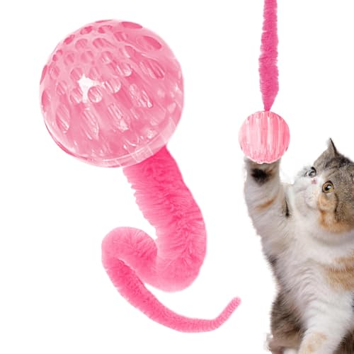 Duroecsain Katzenwurmspielzeug, Hüpfball mit Schwanz, Katzenspielzeug, Interaktives Wurm-Hüpfball-Katzenspielzeug, Magic Worm Bouncy Balls Cats Teaser Toys helfen, Ihr Haustier zu entspannen und zu von Duroecsain