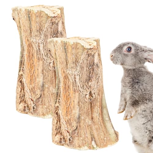 Duroecsain Kausticks für kleine Tiere, Kausticks für Chinchilla – Kausticks aus für kleine Tiere, Kausticks aus natürlichem Papaya, 2 Stück, Pflegespielzeug von Duroecsain