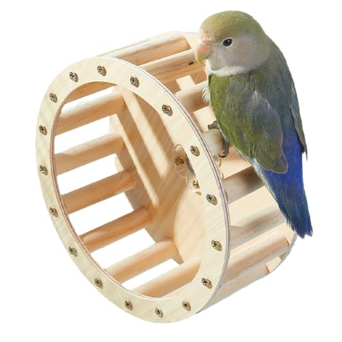 Duroecsain Laufrad für Vögel | Laufrad, Intelligenzspielzeug für Papageien, Käfigzubehör aus Holz, interaktiv, für das intellektuelle Wachstum von Wellensittichen für Sittiche und Duroecsain Laufrad für Vögel | Laufrad, Intelligenzspielzeug für Papageien, Käfigzubehör aus Holz, interaktiv, für das intellektuelle Wachstum von Wellensittichen für Sittiche und von Duroecsain