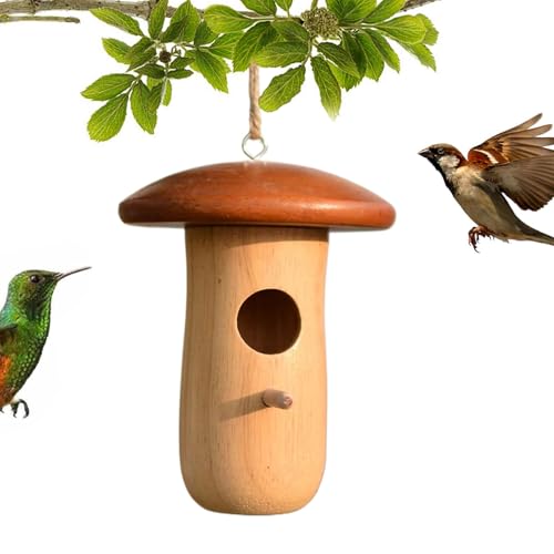 Duroecsain Nisthaus für Kolibris, Hängebox für Vögel, Holzhütte in Pilzform, Tierheim im Garten, Baum, Balkon, Hof und Terrasse Duroecsain Nisthaus für Kolibris, Hängebox für Vögel, Holzhütte in Pilzform, Tierheim im Garten, Baum, Balkon, Hof und Terrasse von Duroecsain
