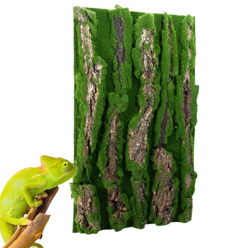Duroecsain Terrarium-Hintergrund aus Kork für Reptilien, Lebensraum-Hintergrund, Tank-Dekoration, Wand-Dekoration aus Reptilien-Rinde für Barbudo-, Hintergrund Duroecsain Terrarium-Hintergrund aus Kork für Reptilien, Lebensraum-Hintergrund, Tank-Dekoration, Wand-Dekoration aus Reptilien-Rinde für Barbudo-, Hintergrund von Duroecsain