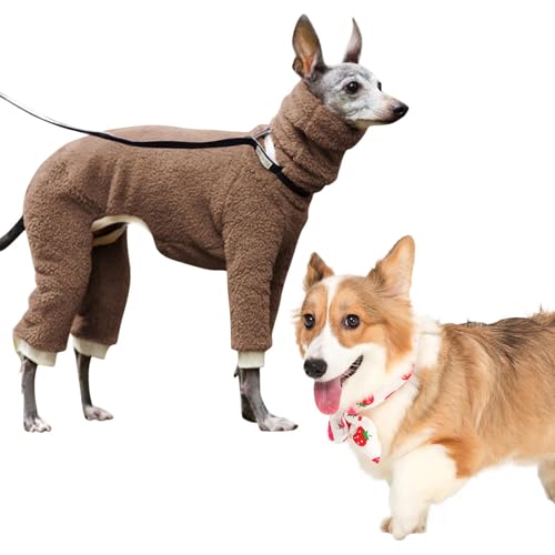 Duroecsain Winterkleidung für Hunde – Winterjacke für Hunde, Rollkragen mit 4 Beinen, komplett bedeckt, einfarbig, für kleine, mittlere und große Hunde von Duroecsain