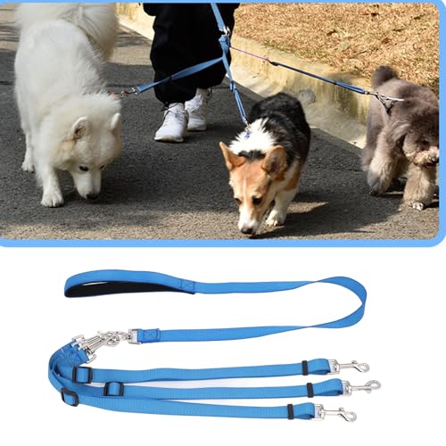 3-Hundeleine, 3-Wege-Hundeleine, Mehrzweck-Hundeleine aus verdicktem Nylon, abnehmbare, verstellbare Nylon-Hundekupplungsleine mit gepolstertem Griff für das Gehtraining (Blau) von Dussdote