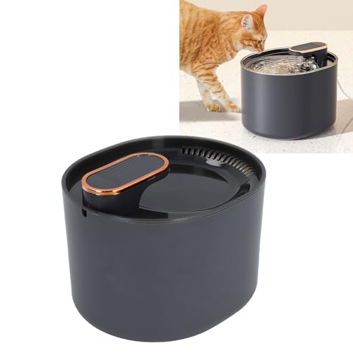 Haustier-Trinkbrunnen, Katzen-Wasserspender, 3 l Fassungsvermögen, Doppelfiltration, automatische Zirkulation, leicht zu reinigen, Katzen-Trinkbrunnen für Hunde, Welpen, Haustiere von Dussdote