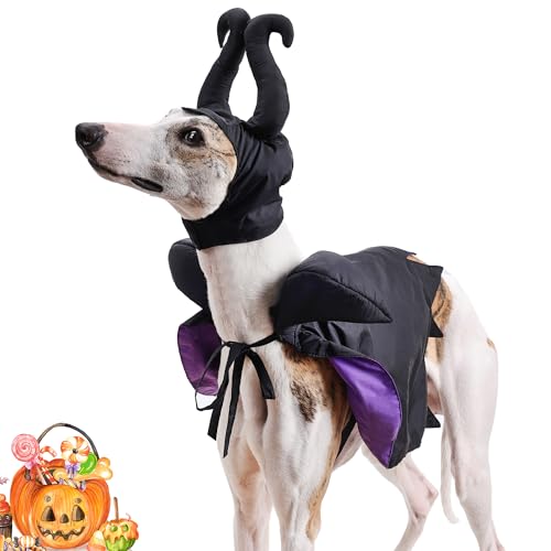 Duuclume Haustier-Umhang-Kostüm, Halloween-Hundeumhang, weiblicher Umhang und Katzenhut, lustiges Haustier-Outfit, Verkleidung, Cosplay, Party, Kleidung, Zubehör, Kostüme von Duuclume