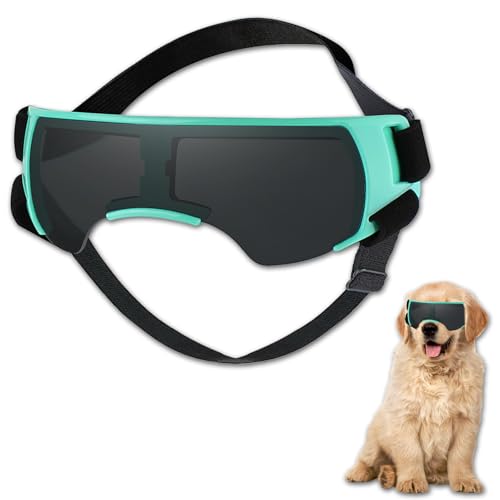 Duuclume Hundebrille, Hundesonnenbrille, UV-Schutz für kleine bis mittelgroße Rassen, winddicht, beschlagfrei, Haustierbrille mit verstellbarem Riemen, für Outdoor-Reisen, Reiten (Blau) von Duuclume