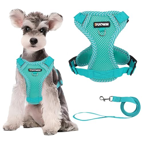 Duuclume Hundegeschirr, kein Ziehen, weiches Netz-Welpengeschirr mit Leine, reflektierend, atmungsaktiv, mit Sicherheitsschnalle, für Spaziergänge, Laufen, Training, Outdoor (Blau, XL) von Duuclume