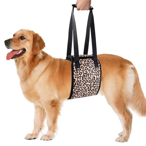 Duuclume Hundegeschirr für Rückenbeine, Treppe hoch und runter, Hundetuch für Senioren, verletzte, behinderte Hunde, Reha-Unterstützung, Verhaltenstraining (Leopard, XL) von Duuclume