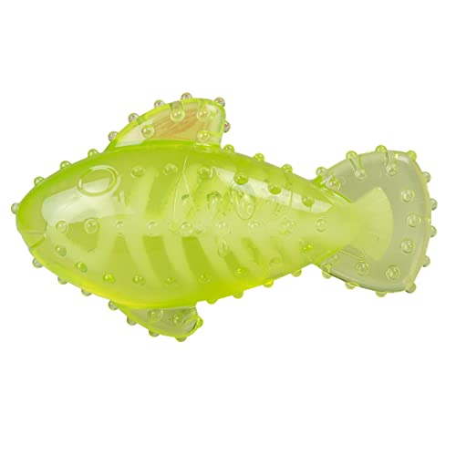 duvoplus, Chew `N Play Fish 16,7 x 9,9 x 6 cm, Grün, Spielzeug, Hund von Duvoplus