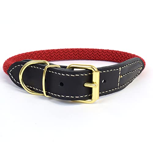 duvoplus, Explorer Forest Halsband Nylon L – 51 – 59 cm / 14 mm rot, Halsband, rot, Hund von Duvoplus